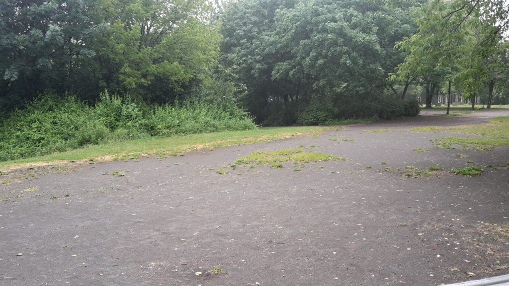 Park in Berlin