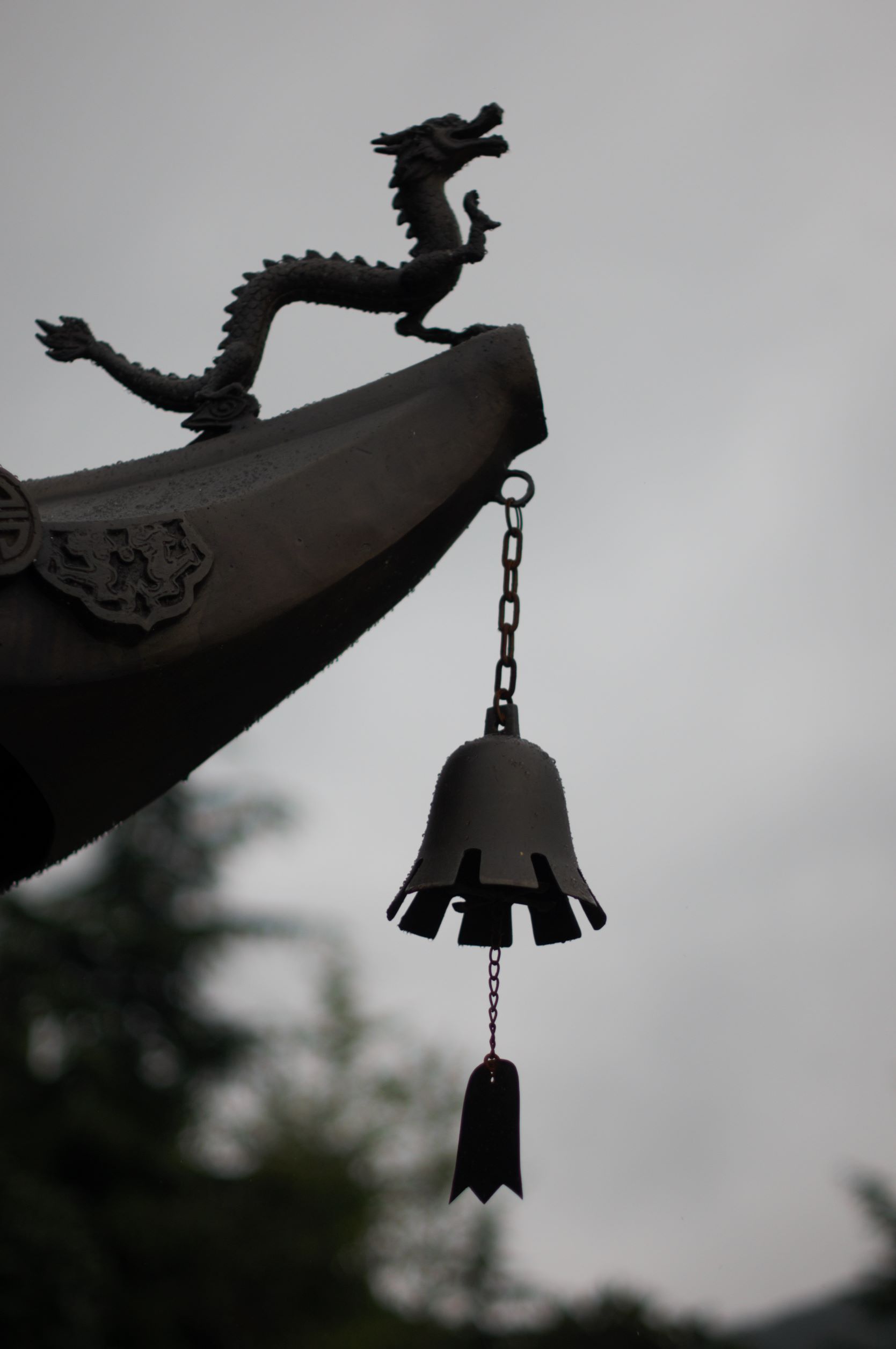 DSC_5452 DSC_5452